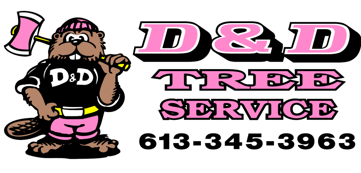 D and D tree Service logo